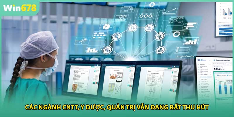 Các ngành CNTT, y dược, quản trị vẫn đang rất thu hút