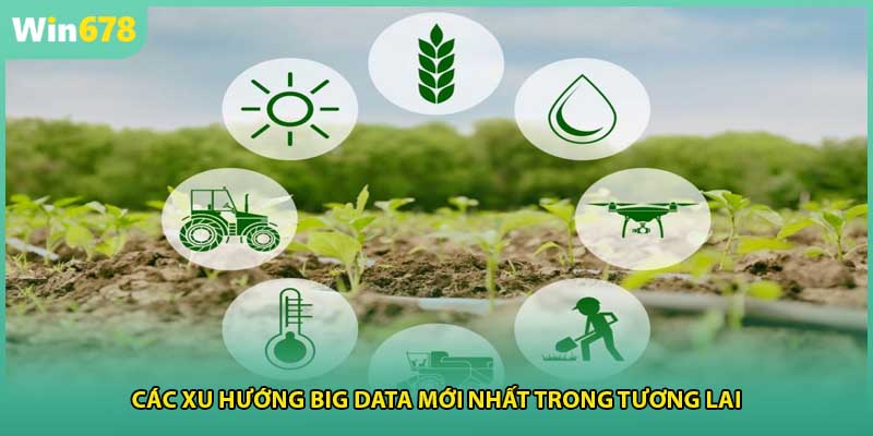 Các xu hướng big data mới nhất trong tương lai